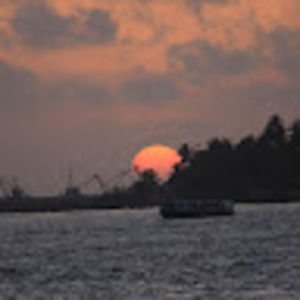 Meet your Posher, Leena